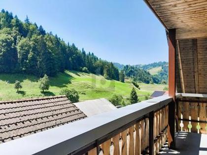 Wohnungen in 8496 Steg im Tösstal
