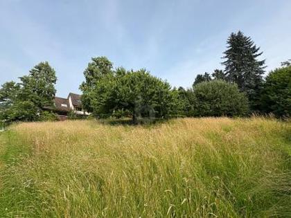 Grundstücke in 8184 Bachenbülach
