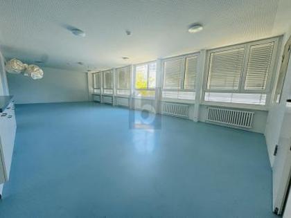 Büros /Praxen in 4127 Birsfelden