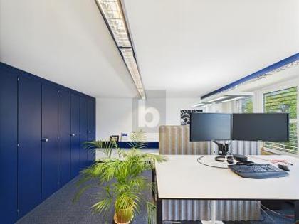 Büros /Praxen in 6010 Kriens