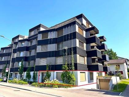 Büros /Praxen in 8051 Zürich