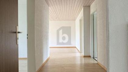 Wohnungen in 8608 Bubikon