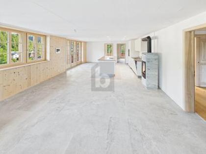 Wohnungen in 3555 Trubschachen