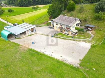 Häuser in 4953 Schwarzenbach