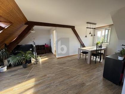 Wohnungen in 4513 Langendorf