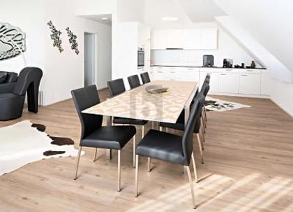 Wohnungen in 8264 Eschenz