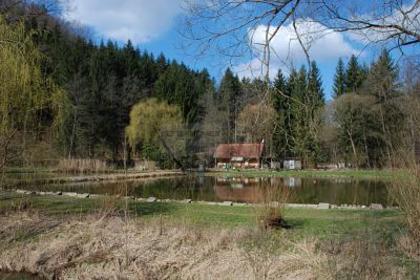 Grundstücke in 8051 Thal
