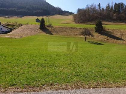 Grundstücke in 4463 Großraming