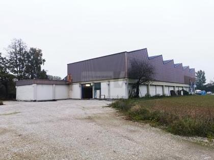 Hallen / Lager / Produktion in 4052 Grabwinkel