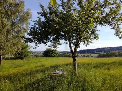 Häuser in 4761 Enzenkirchen