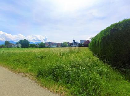 Grundstücke in 6972 Fußach