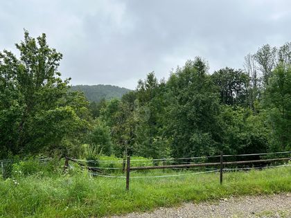 AM ZWANZGERBERG AM ZWANZGERBERG