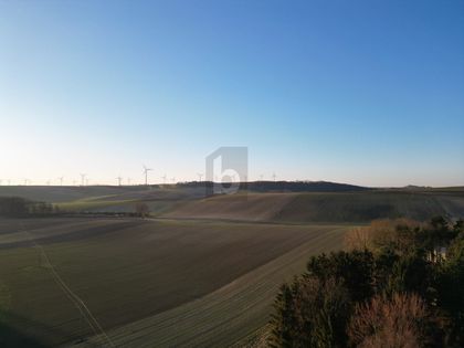 Grundstücke in 2116 Niederleis