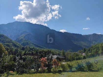 DEN BERGEN NAHE DEN BERGEN NAHE