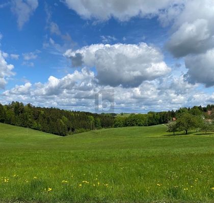 LEICHTE HANGLAGE MIT TRAUMAUSSICHT IN DIE NATUR LEICHTE HANGLAGE MIT TRAUMAUSSICHT IN DIE NATUR