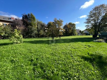 EXKLUSIVE MÖGLICHKEIT AM MITTERBERG - NATUR UND STADTNÄHE VEREINT EXKLUSIVE MÖGLICHKEIT AM MITTERBERG - NATUR UND STADTNÄHE VEREINT