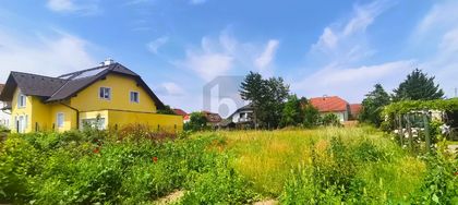 RIESIGES GRUNDSTÜCK - BIS ZU 4 REIHENHÄUSER MÖGLICH RIESIGES GRUNDSTÜCK - BIS ZU 4 REIHENHÄUSER MÖGLICH