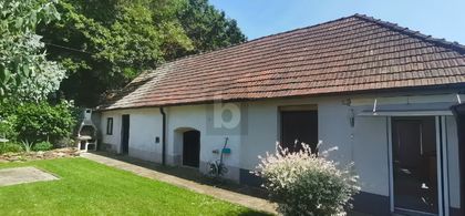 VERTRÄUMTES WINZERHAUS MIT WEINKELLER, SCHUPPEN UND UNEINSICHTIGEM GARTEN VERTRÄUMTES WINZERHAUS MIT WEINKELLER, SCHUPPEN UND UNEINSICHTIGEM GARTEN