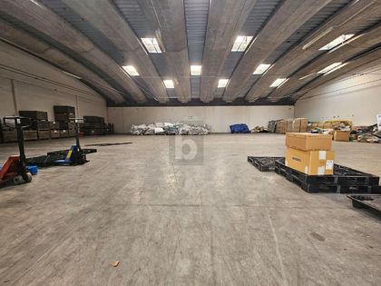 Hallen / Lager / Produktion in 2413 Edelstal