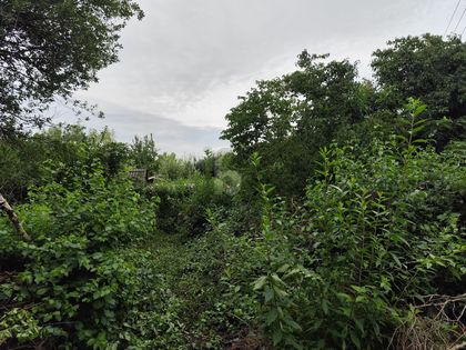 DEIN GRÜNES PARADIES WARTET: RÜCKZUGSORT MIT VIEL PLATZ