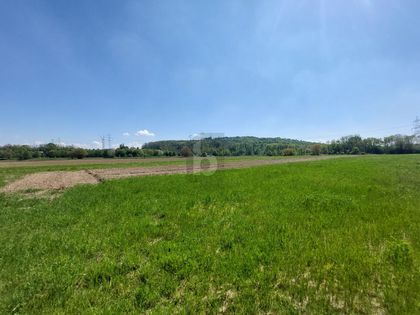 GRÜNLAND AN BAULANDGRENZE