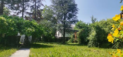 SOMMERGENUSS IM GARTEN - VERKEHRSBERUHIGTE LAGE SOMMERGENUSS IM GARTEN - VERKEHRSBERUHIGTE LAGE