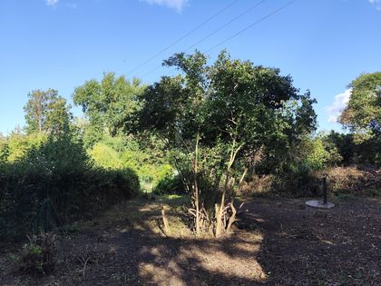 DEIN GRÜNES PARADIES WARTET: RÜCKZUGSORT MIT VIEL PLATZ