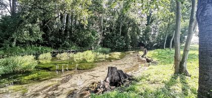 EXKLUSIVE RUHELAGE DIREKT AM WASSER EXKLUSIVE RUHELAGE DIREKT AM WASSER