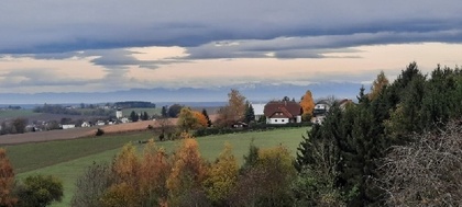 Häuser in 4611 Buchkirchen