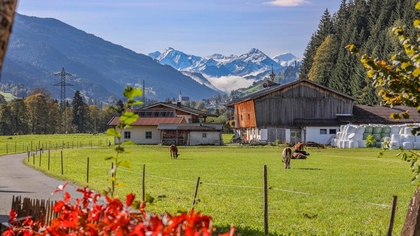 Häuser in 6370 Reith bei Kitzbühel