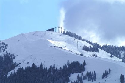 Wohnungen in 6365 Kirchberg in Tirol
