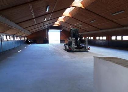 Hallen / Lager / Produktion in 84130 Dingolfing