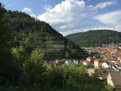 Grundstücke in 78713 Schramberg