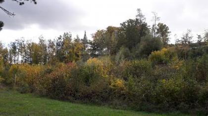 Grundstücke in 93133 Burglengenfeld