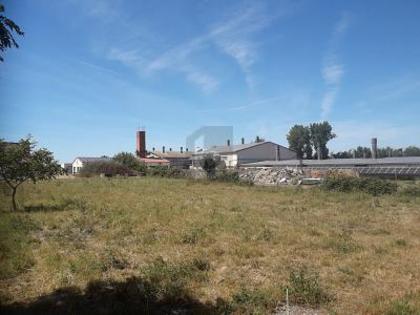 Hallen / Lager / Produktion in 99510 Goldbach