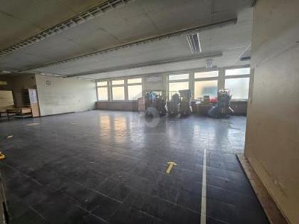 Hallen / Lager / Produktion in 47652 Weeze