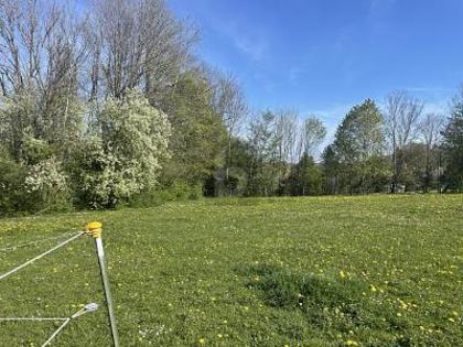 Grundstücke in 82335 Berg