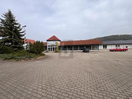 Hallen / Lager / Produktion in 04680 Colditz