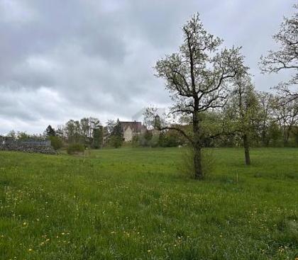 Grundstücke in 88484 Gutenzell