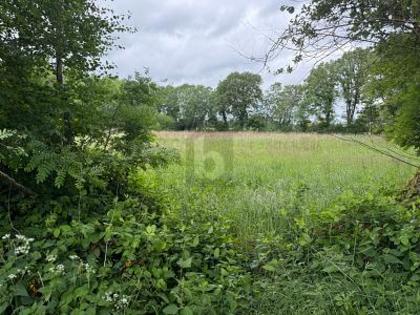 Grundstücke in 25355 Lutzhorn