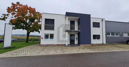 Hallen / Lager / Produktion in 77933 Lahr