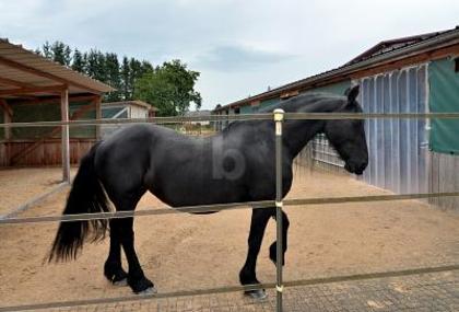 Häuser in 55767 Meckenbach
