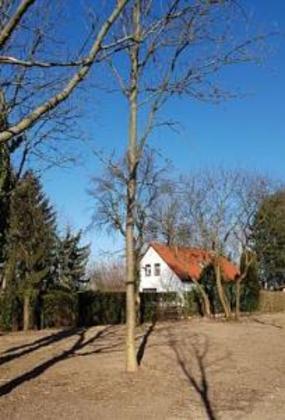 Grundstücke in Deutschland