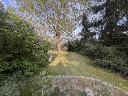 Häuser in 04889 Schildau