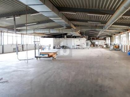 Hallen / Lager / Produktion in 48599 Gronau