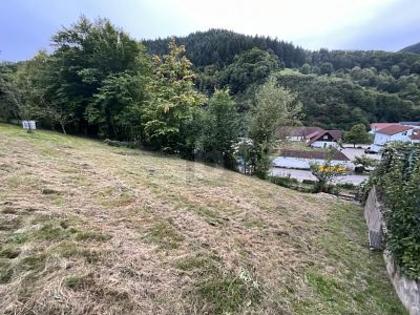 Grundstücke in 76599 Weisenbach