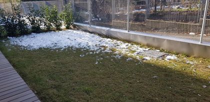Wohnungen in 6020 Hötting