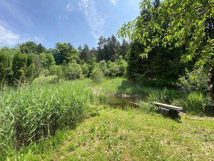 Land- / Forstwirtschaft in 9173 Gotschuchen
