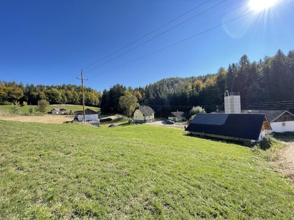 Land- / Forstwirtschaft in 9065 Ebenthal