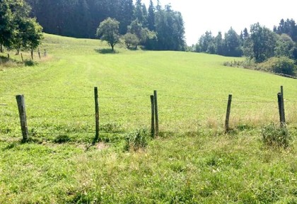 Land- / Forstwirtschaft in 9372 Eberstein